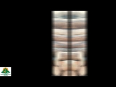 Chapa de madera natural