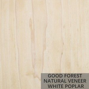 La chapa del álamo de Burl Wood Veneer Natural White del árbol cubre excelente