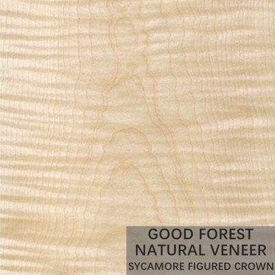 La madera figurada sicómoro natural chapea 0.3m m - 0.5m m para las puertas interiores
