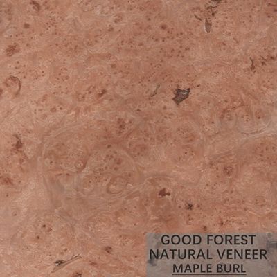 Los pájaros del hotel observan el arce que la madera chapea especialmente natural artificial