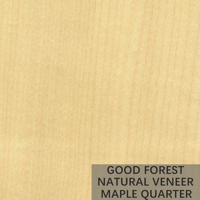 Los pájaros del hotel observan el arce que la madera chapea especialmente natural artificial