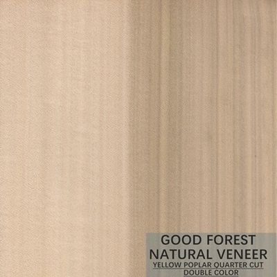 Color doble excelente de Mappa Tulip Natural Wood Veneer Boxwood