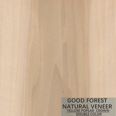 Color doble excelente de Mappa Tulip Natural Wood Veneer Boxwood