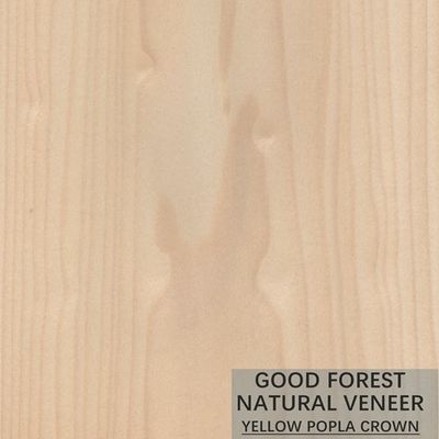 Color doble excelente de Mappa Tulip Natural Wood Veneer Boxwood