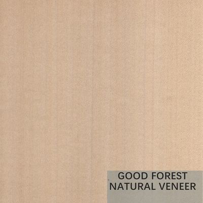 Color doble excelente de Mappa Tulip Natural Wood Veneer Boxwood