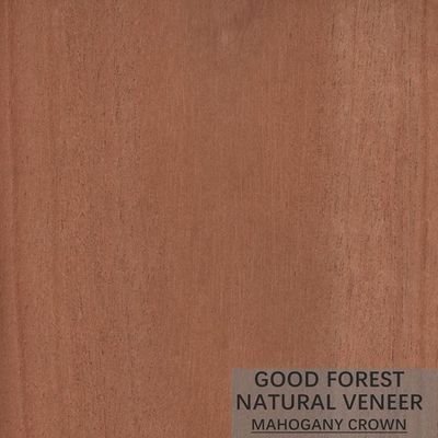 La chapa de madera natural apenas de caoba modificó el grano del corte para requisitos particulares de la corona