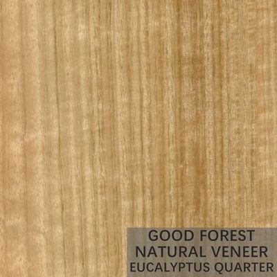 La madera natural del eucalipto chapea la madera contrachapada vertical popular de la chapa del grano
