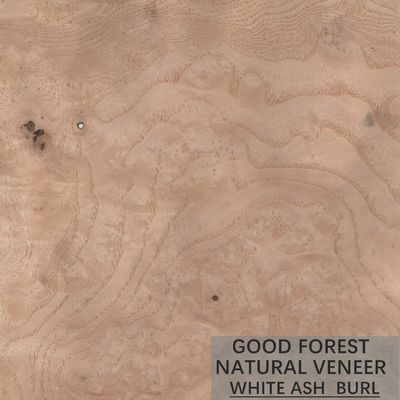 Grano natural de ASH Wood Veneer Sheets Special modificado para requisitos particulares para las puertas