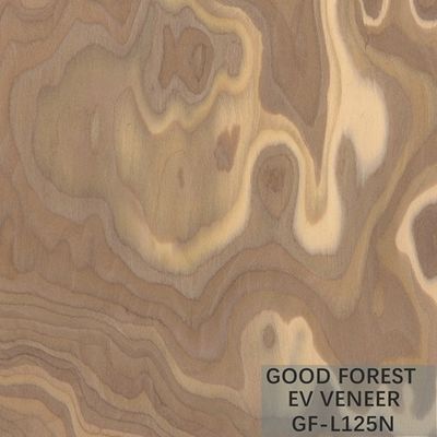 La madera de madera dirigida de la raíz del árbol de la chapa chapea color natural/teñido