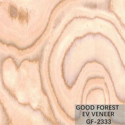 Tamaño de madera dirigido de Burl Wood Veneer EV 2500*640 milímetro del árbol de la chapa