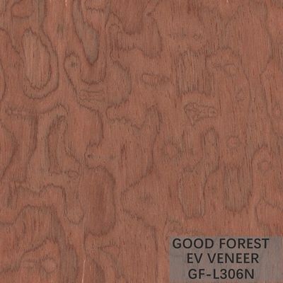 Tamaño de madera dirigido de Burl Wood Veneer EV 2500*640 milímetro del árbol de la chapa