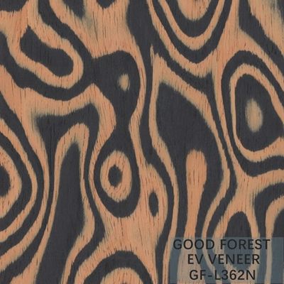 Tamaño de madera dirigido de Burl Wood Veneer EV 2500*640 milímetro del árbol de la chapa
