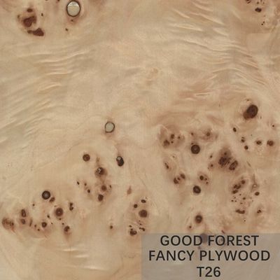 Chapa modificada para requisitos particulares de la endodoncia de Burl Veneer Plywood Board Fancy