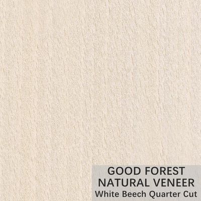 La corona natural de la chapa de madera de haya blanca cortó servicio modificado para requisitos particulares