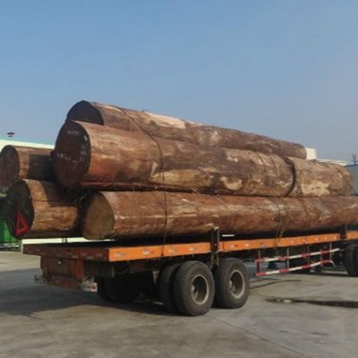 El albaricoque blanco dirigió la rebanada de madera de la chapa H86C cortó las técnicas para el recubrimiento de paredes