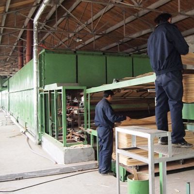 El albaricoque blanco dirigió la rebanada de madera de la chapa H86C cortó las técnicas para el recubrimiento de paredes