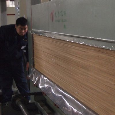 El albaricoque blanco H06C 0.15-0.6m m de la chapa de los muebles del grano de madera artificial de la corona esquiló detrás