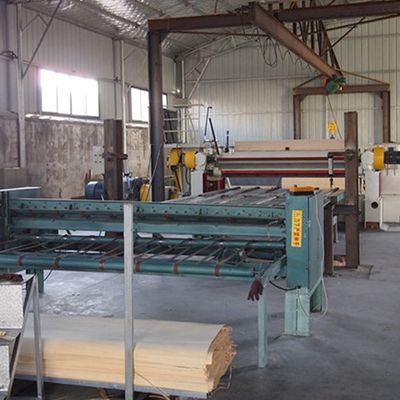 El cuarto renovado del color de Ash Wood Veneer Sheets Yellow cortó con - un H5061Q para las puertas/Windws