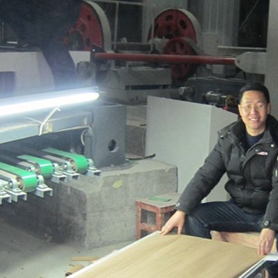 Grano áspero especial Fineline recompuesto suposición de la nuez X937A de la chapa de madera de la pizarra del gabinete del fabricante Iso de China