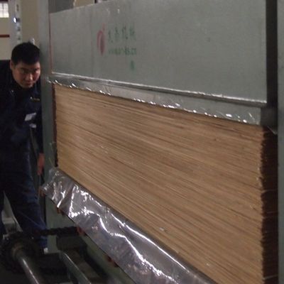 0.45mm de madera de ingeniería carilla de hoja de perla negra BP-X8003 grano recto para el panel de pared cara