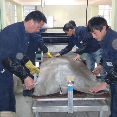 Veneer de madera de lujo China de ceniza hecha por el hombre tamaño alargado 3100mm se puede personalizar para la decoración China hace