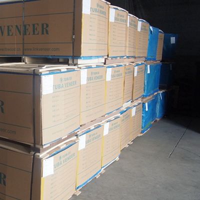 Veneer de madera elegante de arce 2500-3100mm MB-X2333 Tamaño alargado para tallado de madera y artesanías