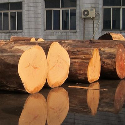 Veneer de madera de nuez americana reconstituida 0.15-0.60mm Servicio personalizado Cuarto corte línea fina para la decoración