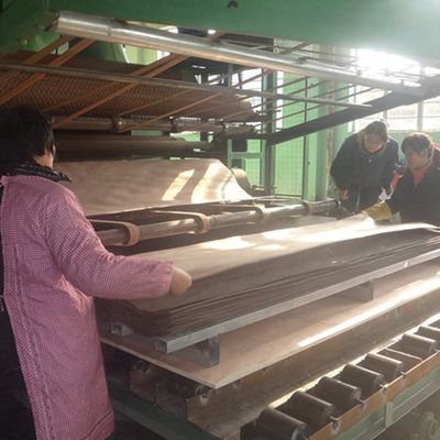 Fabricación especial de carilla de madera de raíz blanca y negra 3N para decoración 3100 mm