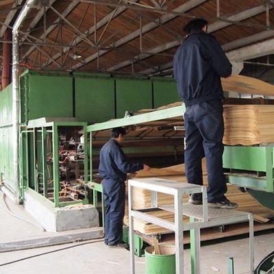 El buen precio de la pizarra de madera de la chapa de la nuez X3937 del grueso renovado del tamaño estándar 0.15-0.6m m para las puertas y Windows China hace
