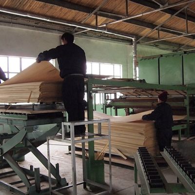 Fabricación especial de carilla de madera de raíz blanca y negra 3N para decoración 3100 mm