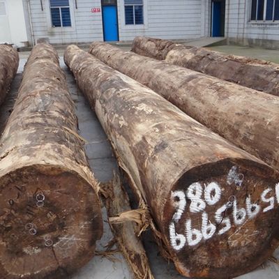 3D Engineered Veneer - Eco-friendly, Low Formaldehyde 2500*640mm for Interior Decoration 3DZM-L3.0