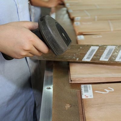 Madera sólida Hojas de olmo americano de grado A para coronas cortadas en cuartos de grano de color natural para la cara de la puerta 3200mm hacia arriba