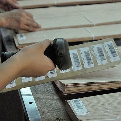 La chapa de madera de caoba natural del OEM derecho figuró el grano 2500-3100M M para la piel de la puerta