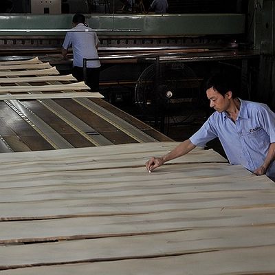 Hoja de madera sólida de roble blanco estadounidense cortada recta para paneles de lujo y chapa teñida de 0,45 mm de grosor