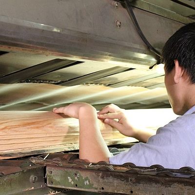 grueso Tamo Ash Veneer For Car Interior natural de 0.5m m e instrumento musical