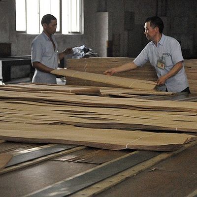 La madera natural de la nuez de la decoración chapea los muebles excelentes de Burl Grain For High Class que hacen el fabricante del FSC China