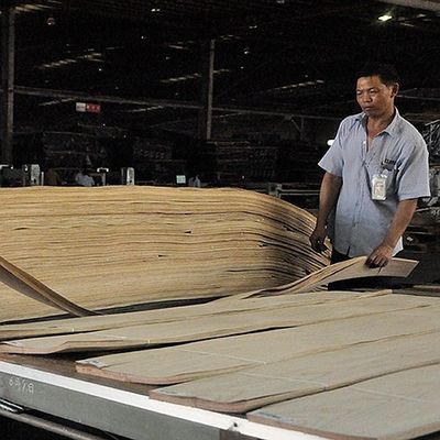 Hoja de madera sólida de roble blanco estadounidense cortada recta para paneles de lujo y chapa teñida de 0,45 mm de grosor