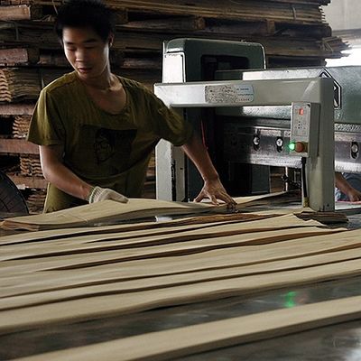 Veneer de madera artificial de anillo de árbol dorado 0.30mm G.TR-X3388 corte de rebanada para la cara del gabinete