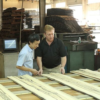 Madera sólida Hojas de olmo americano de grado A para coronas cortadas en cuartos de grano de color natural para la cara de la puerta 3200mm hacia arriba