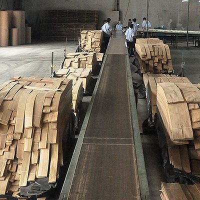 Madera sólida Hojas de olmo americano de grado A para coronas cortadas en cuartos de grano de color natural para la cara de la puerta 3200mm hacia arriba