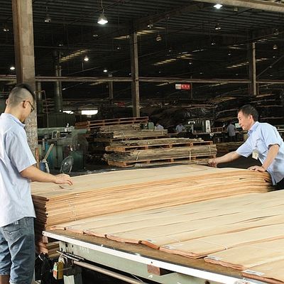 Madera sólida Hojas de olmo americano de grado A para coronas cortadas en cuartos de grano de color natural para la cara de la puerta 3200mm hacia arriba