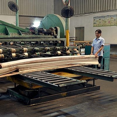 El cuarto natural de la chapa de madera del Koto de África cortó el grano recto que la buena calidad para el proceso de teñido puede ser modificada para requisitos particulares