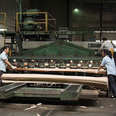 Europa que la madera figurada natural del sicómoro chapea la corona cortada plana cortó el grueso 0.5m m para morir y el gabinete