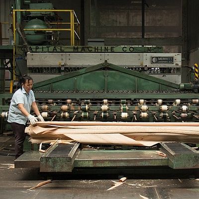 La madera natural de Okoume chapea especialmente el servicio del partido del resbalón del grano de la entrepierna para la decoración del hotel