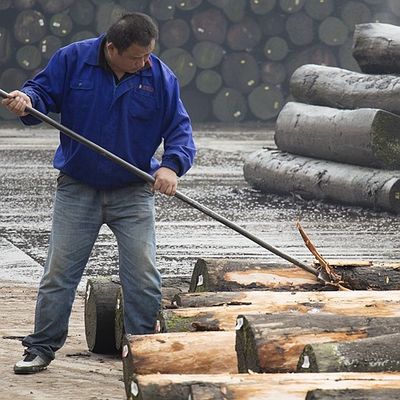 El cuarto natural de la chapa de madera del Koto de África cortó el grano recto que la buena calidad para el proceso de teñido puede ser modificada para requisitos particulares