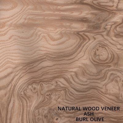 Inusual madera de ceniza blanca natural veneer burl oliva AA grado para pared de cubierta de espesor 0,5 mm