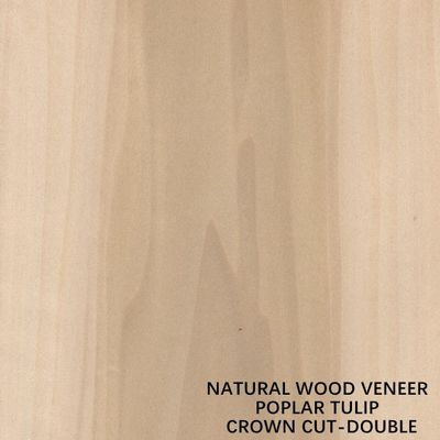 La madera natural americana del álamo del color doble chapea la corona cortada plana para la madera contrachapada de lujo