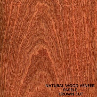 La chapa natural del revestimiento de madera y de madera de África Sapele de las puertas cortó completamente el grado del AAA del grano de la corona