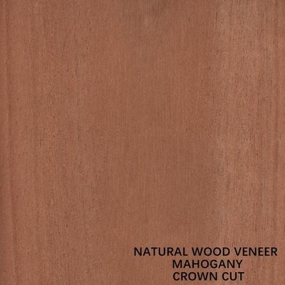 Corte cortado plano de la corona de la chapa de madera de caoba natural de los muebles y de los instrumentos de música
