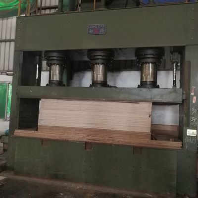 La entrepierna natural de Okoume del panel del hotel que la madera que empalma especial chapea tamaño alargado 2745m m puede ser servicio modificado para requisitos particulares